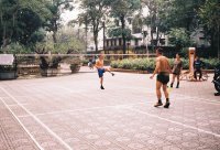 Padel in Nederland is compleet uit de hand gelopen